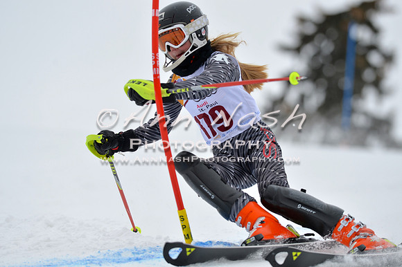 alpine_2015-02-14_13-04-14_DSC_7880_©AnnNashPhotographyLLC_2015