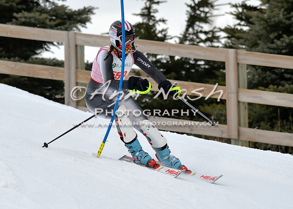 alpine_2015-01-22_12-04-17_DSC_1090_©AnnNashPhotographyLLC_2015