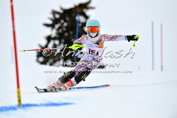 alpine_2015-02-14_13-09-12_DSC_8011_©AnnNashPhotographyLLC_2015