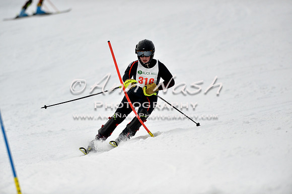 alpine_2015-01-22_12-44-26_DSC_2213_©AnnNashPhotographyLLC_2015