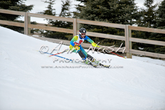 alpine_2015-01-22_12-03-19_DSC_1060_©AnnNashPhotographyLLC_2015