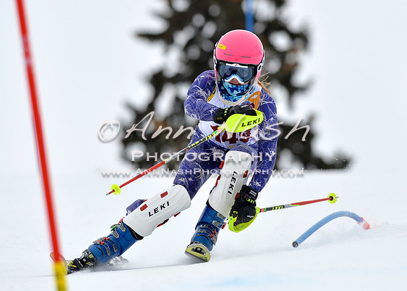 alpine_2015-02-14_13-06-00_DSC_7930_©AnnNashPhotographyLLC_2015