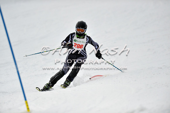 alpine_2015-01-22_12-42-54_DSC_2179_©AnnNashPhotographyLLC_2015