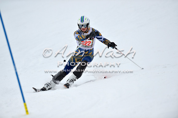 alpine_2015-01-22_11-54-07_DSC_0776_©AnnNashPhotographyLLC_2015