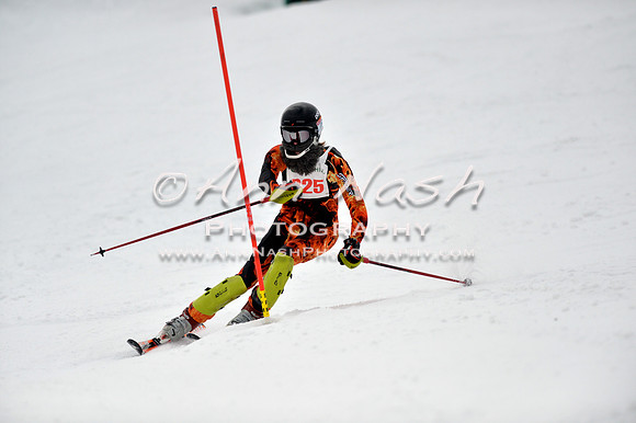 alpine_2015-01-22_12-26-49_DSC_1794_©AnnNashPhotographyLLC_2015