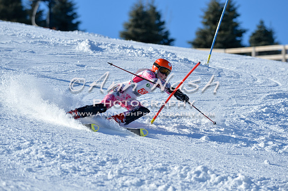 alpine_2015-01-22_14-41-35_DSC_3013_©AnnNashPhotographyLLC_2015