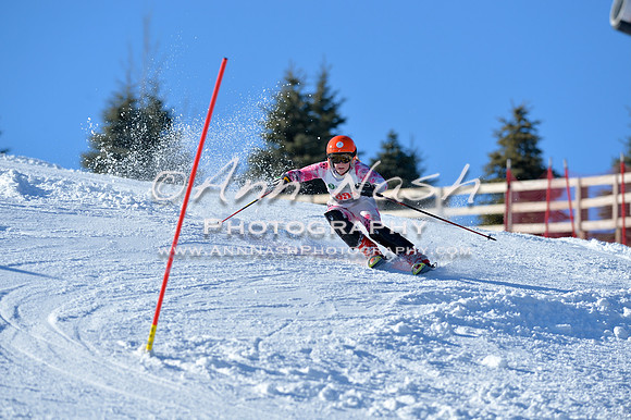 alpine_2015-01-22_14-41-34_DSC_3012_©AnnNashPhotographyLLC_2015