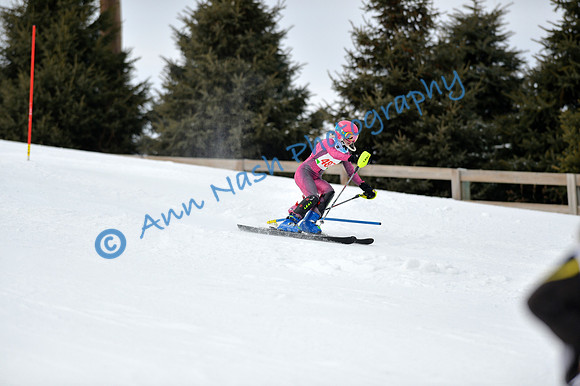 alpine_2015-01-22_12-48-07_DSC_2331_©AnnNashPhotographyLLC_2015