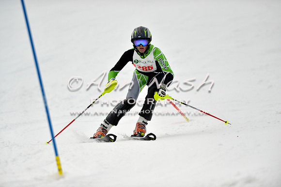 alpine_2015-01-22_12-29-18_DSC_1864_©AnnNashPhotographyLLC_2015