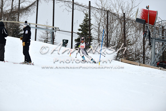 alpine_2015-01-22_12-04-11_DSC_1088_©AnnNashPhotographyLLC_2015