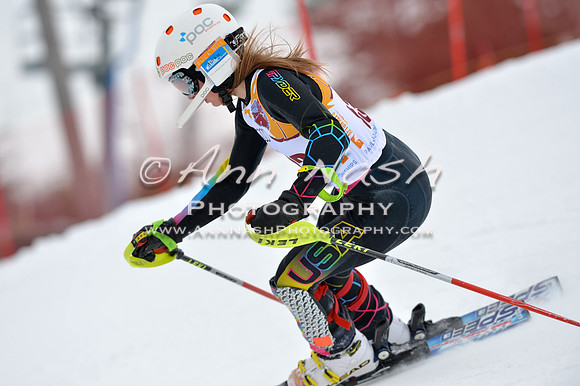 alpine_2015-02-14_13-05-31_DSC_7914_©AnnNashPhotographyLLC_2015