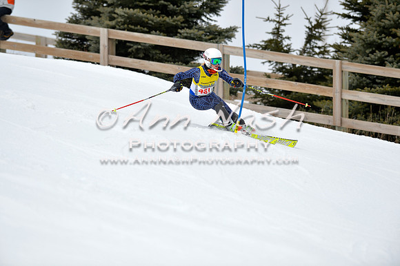 alpine_2015-01-22_11-32-25_DSC_9928_©AnnNashPhotographyLLC_2015
