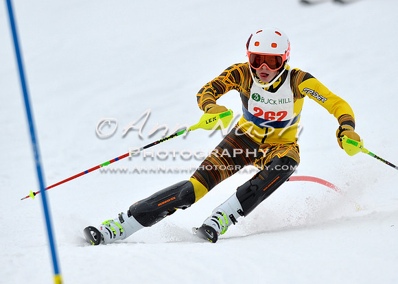 alpine_2015-01-22_11-54-53_DSC_0807_©AnnNashPhotographyLLC_2015