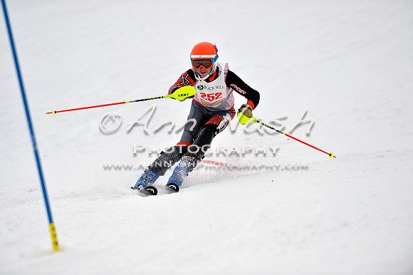 alpine_2015-01-22_11-49-50_DSC_0637_©AnnNashPhotographyLLC_2015