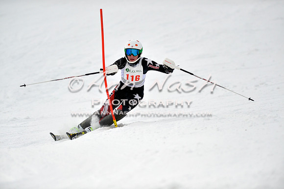 alpine_2015-01-22_12-32-07_DSC_1951_©AnnNashPhotographyLLC_2015