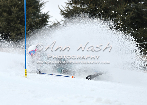 alpine_2015-01-22_11-56-34_DSC_0869_©AnnNashPhotographyLLC_2015