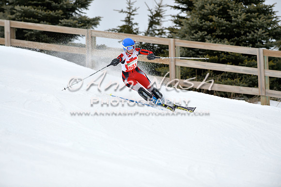 alpine_2015-01-22_11-37-29_DSC_0158_©AnnNashPhotographyLLC_2015