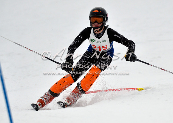 alpine_2015-01-22_12-26-25_DSC_1771_©AnnNashPhotographyLLC_2015