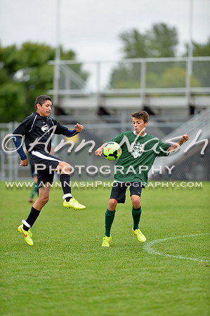 soccer_2014-09-09_17-18-30_DSC_9857_©AnnNashPhotographyLLC_2014