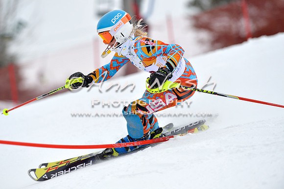 alpine_2015-02-14_13-48-26_DSC_8783_©AnnNashPhotographyLLC_2015