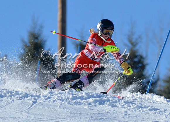 alpine_2015-01-22_14-36-33_DSC_2945_©AnnNashPhotographyLLC_2015