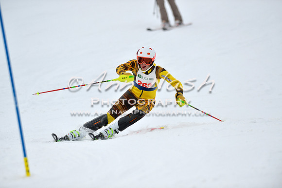alpine_2015-01-22_11-54-53_DSC_0806_©AnnNashPhotographyLLC_2015