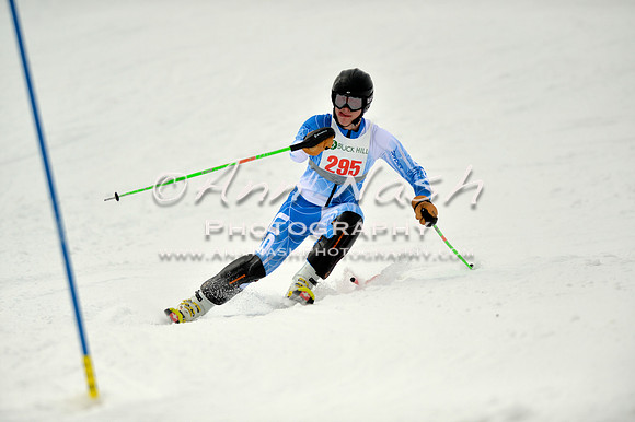 alpine_2015-01-22_12-29-46_DSC_1876_©AnnNashPhotographyLLC_2015
