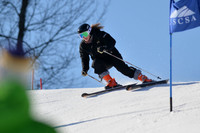 alpine-Jan-27-2018-DSC_8206-©ANP