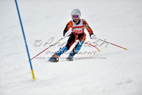 alpine_2015-01-22_12-31-05_DSC_1915_©AnnNashPhotographyLLC_2015