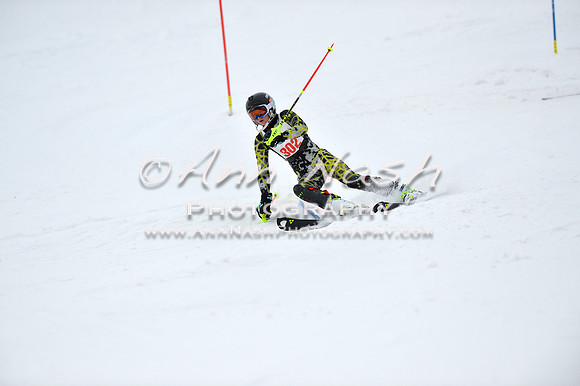 alpine_2015-01-22_11-51-57_DSC_0734_©AnnNashPhotographyLLC_2015