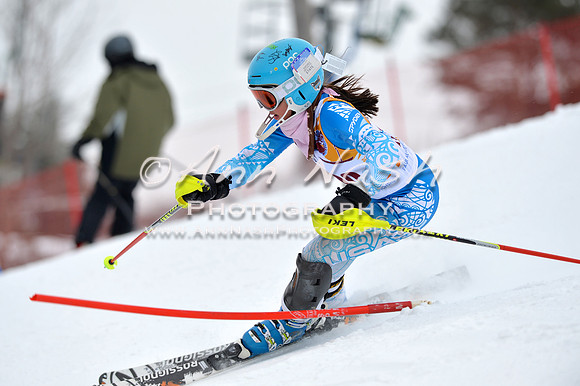 alpine_2015-02-14_13-36-40_DSC_8493_©AnnNashPhotographyLLC_2015