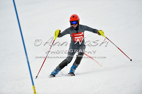 alpine_2015-01-22_11-48-54_DSC_0608_©AnnNashPhotographyLLC_2015