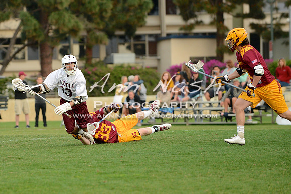 lacrosse_2015-03-17_20-32-56_DSC_1711_©AnnNashPhotographyLLC_2015