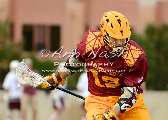 lacrosse_2015-03-17_20-36-56_DSC_1722_©AnnNashPhotographyLLC_2015