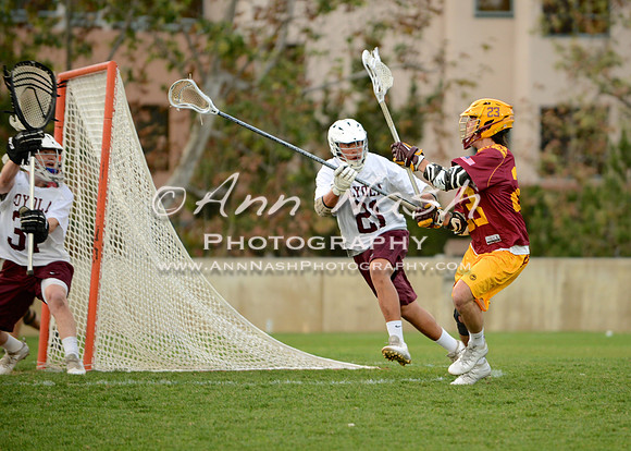 lacrosse_2015-03-17_20-42-49_DSC_1752_©AnnNashPhotographyLLC_2015