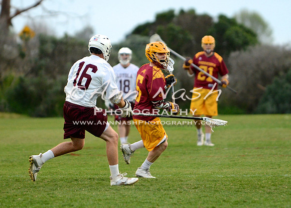lacrosse_2015-03-17_20-44-57_DSC_1761_©AnnNashPhotographyLLC_2015