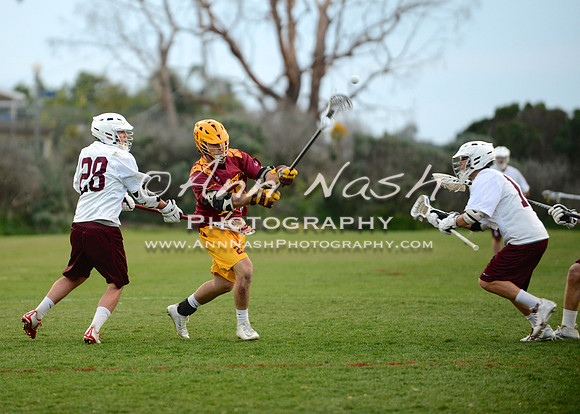 lacrosse_2015-03-17_20-45-52_DSC_1764_©AnnNashPhotographyLLC_2015