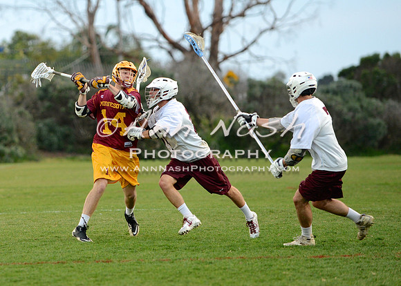 lacrosse_2015-03-17_20-46-33_DSC_1774_©AnnNashPhotographyLLC_2015