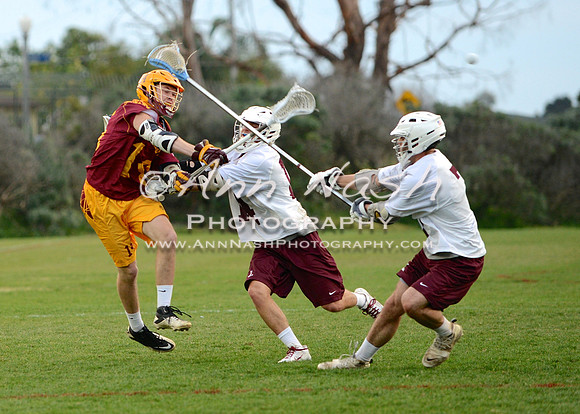 lacrosse_2015-03-17_20-46-34_DSC_1775_©AnnNashPhotographyLLC_2015