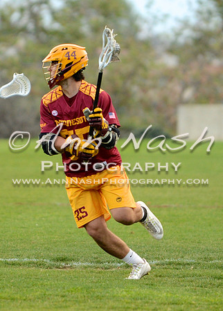 lacrosse_2015-03-17_20-47-22_DSC_1778_©AnnNashPhotographyLLC_2015
