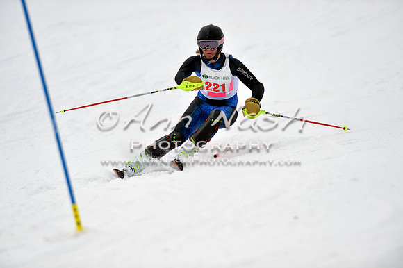 alpine_2015-01-22_11-37-11_DSC_0149_©AnnNashPhotographyLLC_2015