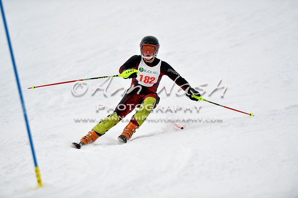 alpine_2015-01-22_11-46-20_DSC_0482_©AnnNashPhotographyLLC_2015