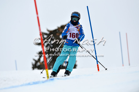 alpine_2015-02-14_12-58-40_DSC_7749_©AnnNashPhotographyLLC_2015
