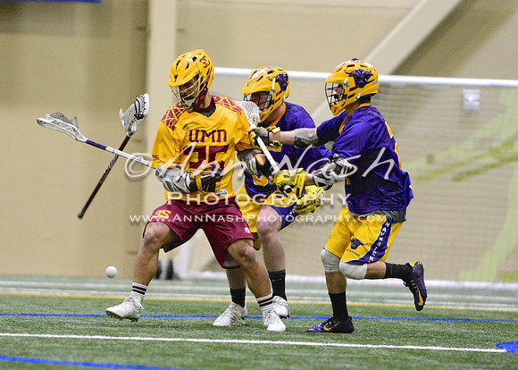 lacrosse_2015-04-10_22-31-26_DSC_3365_©AnnNashPhotographyLLC_2015
