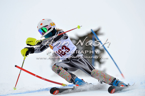 alpine_2015-02-14_12-50-41_DSC_7592_©AnnNashPhotographyLLC_2015