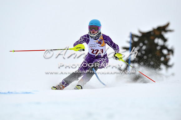alpine_2015-02-14_13-37-08_DSC_8503_©AnnNashPhotographyLLC_2015