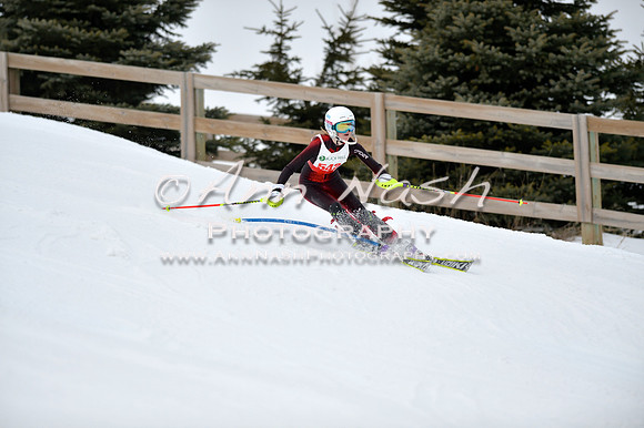 alpine_2015-01-22_11-50-40_DSC_0662_©AnnNashPhotographyLLC_2015