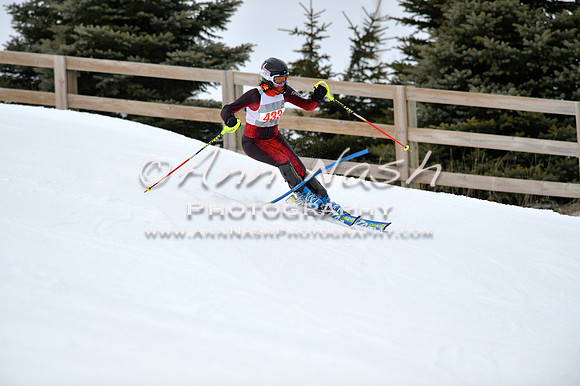 alpine_2015-01-22_11-55-44_DSC_0834_©AnnNashPhotographyLLC_2015
