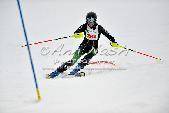 alpine_2015-01-22_12-17-57_DSC_1494_©AnnNashPhotographyLLC_2015