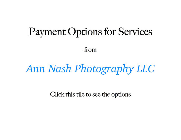ANP Payment Tile.  Use this in a cart to make a payment.